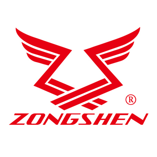 Двигатель бензиновый Zongshen NP 100