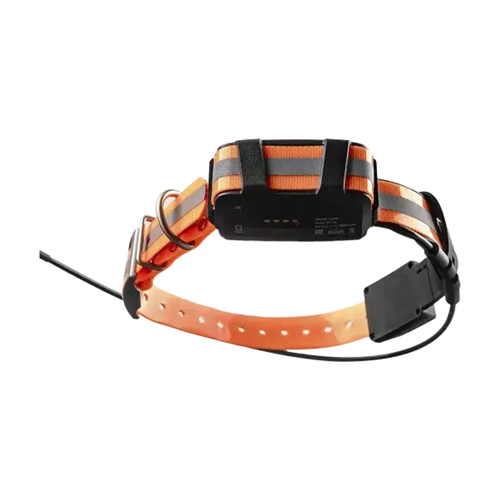 Artelv Tracker 2W