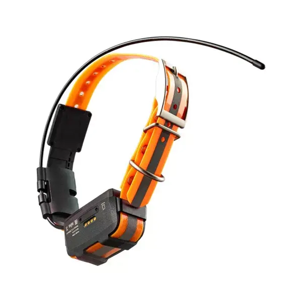 GPS ошейник ARTELV COLLAR 2W