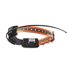Artelv Tracker 2W